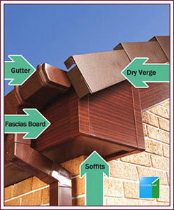 fascia diagram